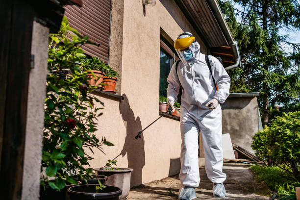 Best Wasp Removal Services  in Jackson, GA