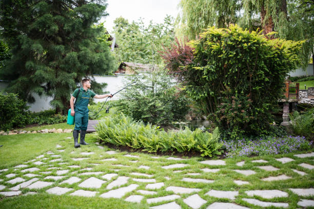 Best Affordable Pest Control Services  in Jackson, GA