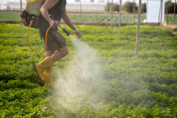 Best Pest Prevention Services  in Jackson, GA
