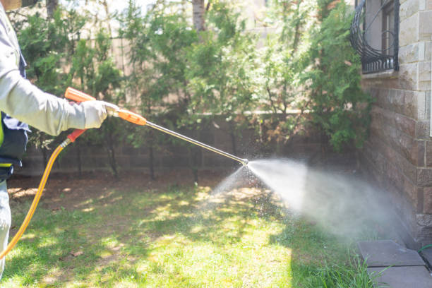 Best Flea Control Services  in Jackson, GA