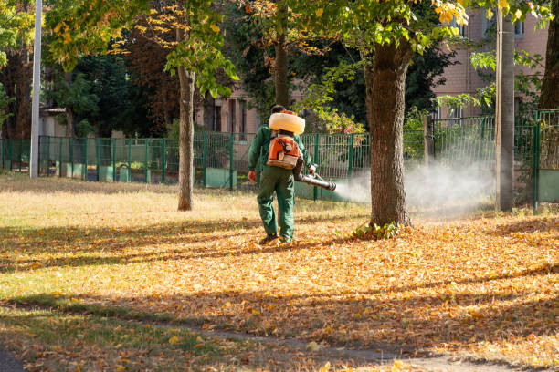 Best Best Pest Control Companies  in Jackson, GA